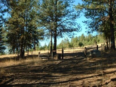 Living Off Grid – Step 1 Research and Planning Image